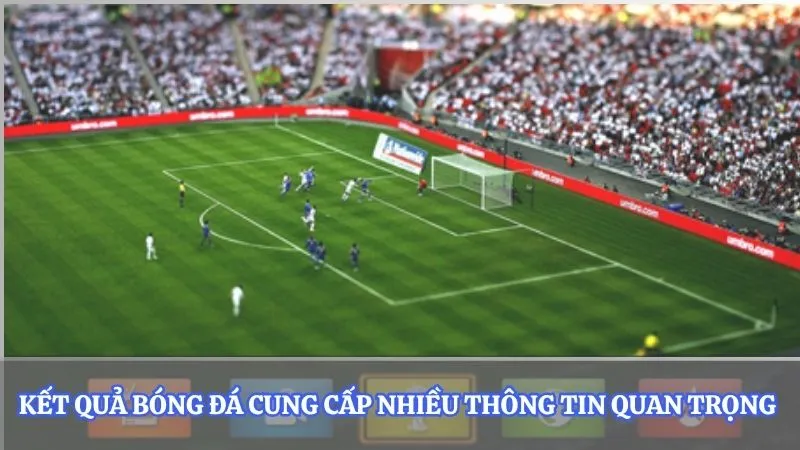 Kết quả bóng đá cung cấp nhiều thông tin quan trọng 